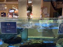 -旺顺阁海鲜广场(亚运村店)