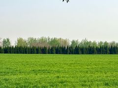 -汉长安城未央宫国家考古遗址公园