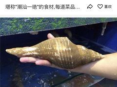-塔湾北行农贸市场