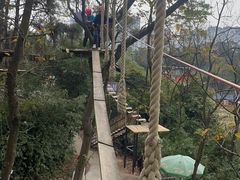 -芦仙山景区-飞越丛林探险乐园
