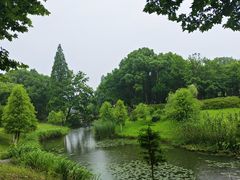 -宜兴龙背山森林公园