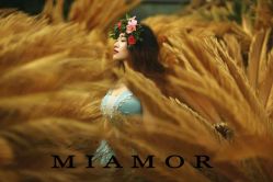 点击看大图 -MIAMOR米艾茉婚纱摄影(江都店)