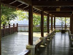 -广州市流溪河国家森林公园