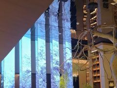 -桂满陇·海市蜃楼·黑金(国金店)