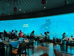 -涛·海底餐厅·美人鱼·自助餐·海底隧道(三亚海棠湾洲际度假酒店)