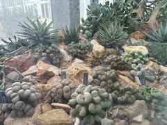 -国家植物园南园