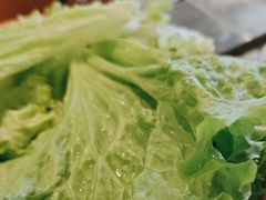 -龍歌自助小火锅(市南金茂湾店)