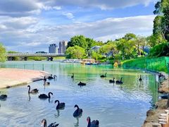 -琅岐红光湖公园