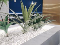 -兰湘子·湘菜小炒(崂山丽达店)