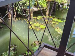-水岸居湖景农家乐·阳澄湖大闸蟹