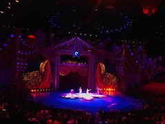 -珠海横琴长隆《卡卡虎奇遇记》