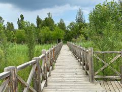 -野鸭湖国家湿地公园