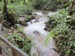 -莫里热带雨林景区