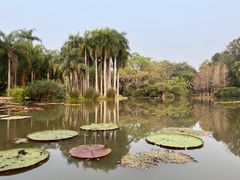 -中国科学院西双版纳热带植物园
