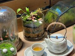 -自由生长植物工作室(深港花卉中心店)