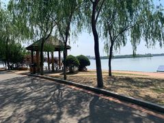 -丁香湖公园