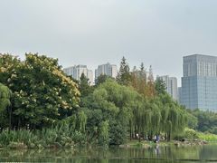 -南翔镇银翔湖公园