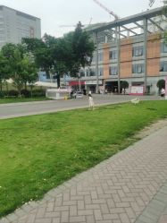 -成都市妇女儿童中心医院(中心院区)