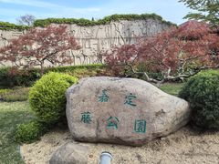 -嘉定紫藤园