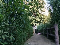 -成都市活水公园