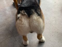 -阿尔法海鲜排档(爱琴海店)