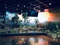 -陕西自然博物馆