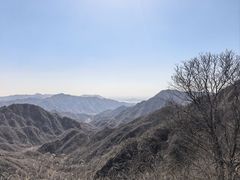 -大岭沟猕猴桃谷风景区