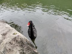 -呀诺达热带雨林