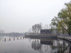 -莲花池公园
