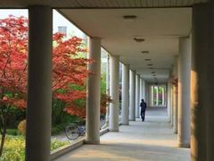 -东华大学(松江校区)