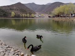 -静之湖度假区