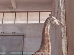 -石家庄市动物园