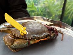 -Ministry of Crab•MOC(交子大道店)