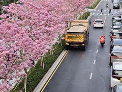 -深圳湾万象城(南山店)