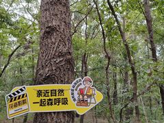 -日照海滨国家森林公园