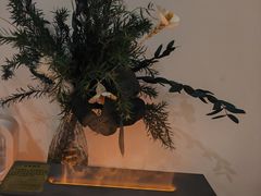 -巴拉吉·SPA·按摩养生馆