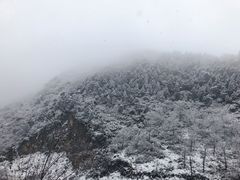 -沣峪口