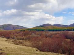 -塞罕坝国家级自然保护区