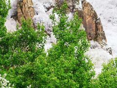 -白草畔自然风景区