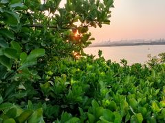 -烟台山景区