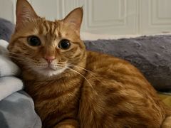 -新荟城(望京店)