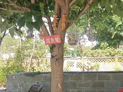 -钰田大院·怀柔地道农家菜·烤虹鳟鱼(雁栖湖店)