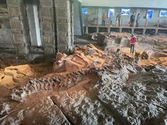 -自贡恐龙博物馆