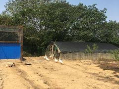 -龙湖东院农庄(乡间小路店)