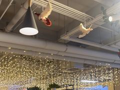 -京城·森鸽排档(双井店)