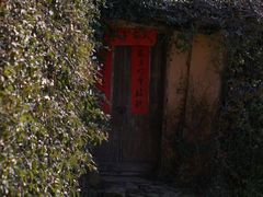 -杨家堂村