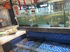 -海派美食·家宴海鲜青岛菜·石锅鲽鱼头(东方城店)