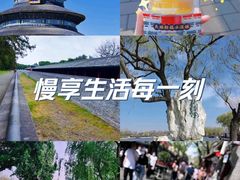 -天坛公园