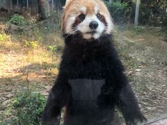 -柳州市动物园