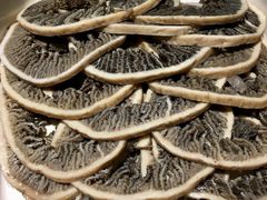 捞派千层牛肚-海底捞火锅(航洋城店)